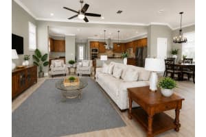 13928 SWALLOW HILL DRIVE, LITHIA, FL 33547 - MLS#MFRO6408388