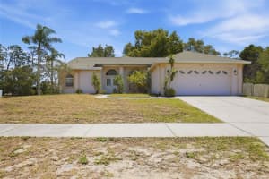 14521 PIMBERTON DRIVE, HUDSON, FL 34667 - MLS#MFRO6408435
