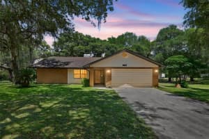 3915 SPANIEL TRAIL, INVERNESS, FL 34450 - MLS#MFRO6408634