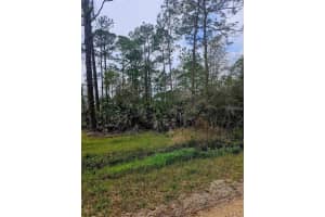 EAST PKWY, DELAND, FL 32724 - MLS#MFRO6408648