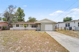 8308 Oleander Ln, TAMPA 8308 Oleander Ln, TAMPA