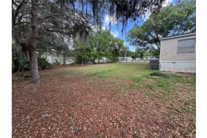 31601 SPRUCE DRIVE, EUSTIS, FL 32736 - MLS#MFRO6408743