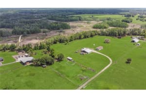 9650 COCKATOO LANE, GROVELAND, FL 34736 - MLS#MFRO6408839