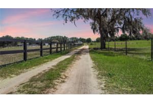 9650 COCKATOO LANE, GROVELAND, FL 34736 - MLS#MFRO6408839