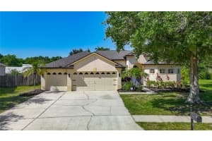 16923 MELISSA ANN DRIVE, LUTZ, FL 33558 - MLS#MFRO6408945