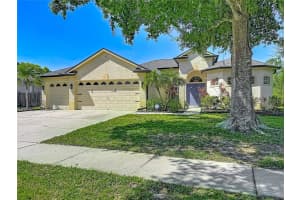 16923 MELISSA ANN DRIVE, LUTZ, FL 33558 - MLS#MFRO6408945