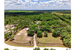 11630 78TH STREET, MORRISTON, FL 32668 - MLS#MFRO6409029