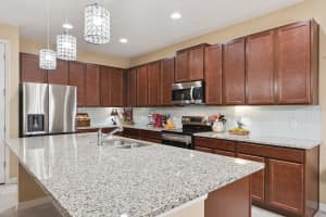 206 HYDRA WAY, GROVELAND, FL 34736 - MLS#MFRO6409077