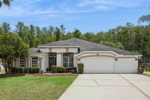 14812 Via Winghurst Ct, ORLANDO 14812 Via Winghurst Ct, ORLANDO