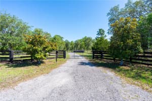 12691 80TH STREET, MORRISTON, FL 32668 - MLS#MFRO6409355