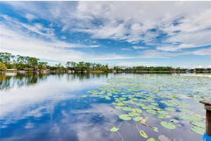 4029 TAMARISK WAY, ORLANDO, FL 32817 - MLS#MFRO6409365