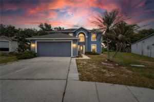 1201 Dragon Head Dr, VALRICO 1201 Dragon Head Dr, VALRICO