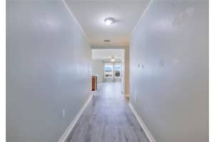 2465 BEGONIA STREET, MASCOTTE, FL 34753 - MLS#MFRO6409500