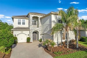 31321 Chesapeake Bay Dr, WESLEY CHAPEL