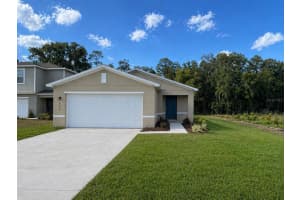 2093 GOLDEN BEAK DRIVE, EAGLE LAKE, FL 33839 - MLS#MFRO6409760