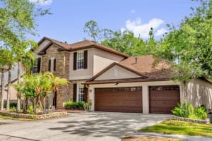 16117 COLCHESTER PALMS DRIVE, TAMPA, FL 33647 - MLS#MFRO6409862