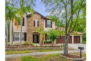 16117 COLCHESTER PALMS DRIVE, TAMPA, FL 33647 - MLS#MFRO6409862