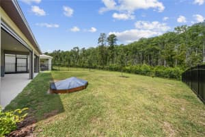 12918 PROMISE PLACE, ORLANDO, FL 32832 - MLS#MFRO6409872
