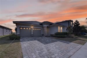 16466 OLIVE HILL DRIVE, WINTER GARDEN, FL 34787 - MLS#MFRO6409922