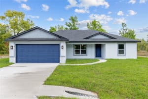 5 MALAUKA LOOP TRACK, OCKLAWAHA, FL 32179 - MLS#MFRO6409942