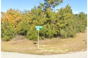 611 ALAFIA PLACE, KISSIMMEE, FL 34759 - MLS#MFRO6410318