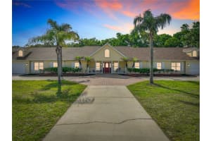 2300 Pine Meadows Pl, CHULUOTA 2300 Pine Meadows Pl, CHULUOTA