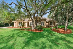 796 MILLS ESTATE PLACE, CHULUOTA, FL 32766 - MLS#MFRO6411068