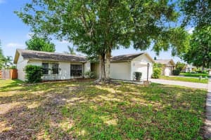 4816 ADDAX DRIVE, NEW PORT RICHEY, FL 34653 - MLS#MFRO6411121