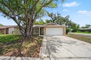 11424 SCALLOP DRIVE, PORT RICHEY, FL 34668 - MLS#MFRO6411124