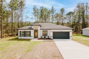 6732 Sw 132nd St, OCALA