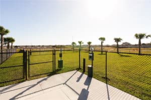 1036 TWINS STREET, DAVENPORT, FL 33837 - MLS#MFRO6411524