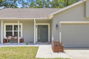 30603 TURNBERRY AVENUE, SORRENTO, FL 32776 - MLS#MFRO6411664