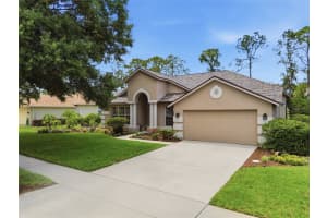 4941 WILLOW RIDGE TERRACE, VALRICO, FL 33596 - MLS#MFRO6411963