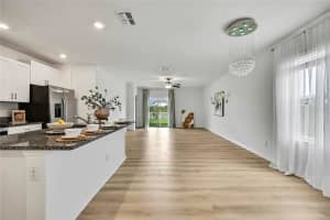 9937 AQUA MILES PATH, WESLEY CHAPEL, FL 33545 - MLS#MFRO6412527