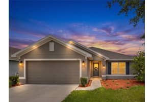 1113 CITRUS LANDINGS BOULEVARD, DAVENPORT, FL 33837 - MLS#MFRO6412607