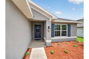 1113 CITRUS LANDINGS BOULEVARD, DAVENPORT, FL 33837 - MLS#MFRO6412607