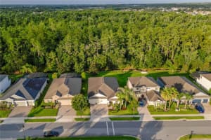 13959 JOMATT LOOP, WINTER GARDEN, FL 34787 - MLS#MFRO6412718