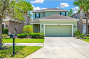 16065 Bella Woods Dr, TAMPA 16065 Bella Woods Dr, TAMPA