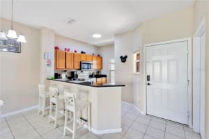 8553 BAY LILLY LOOP, KISSIMMEE, FL 34747 - MLS#MFRO6412829