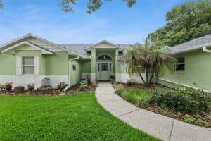28646 TAMMI DRIVE, TAVARES, FL 32778 - MLS#MFRO6413000