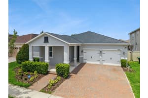 13878 PEACH ORCHARD WAY, WINTER GARDEN, FL 34787 - MLS#MFRO6413152