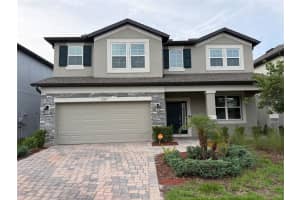 33263 Sycamore Leaf Dr, WESLEY CHAPEL 33263 Sycamore Leaf Dr, WESLEY CHAPEL