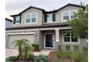 33263 SYCAMORE LEAF DRIVE, WESLEY CHAPEL, FL 33545 - MLS#MFRO6413248