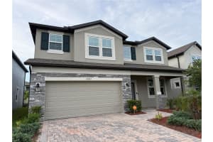 33263 SYCAMORE LEAF DRIVE, WESLEY CHAPEL, FL 33545 - MLS#MFRO6413248