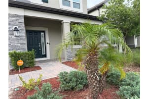 33263 SYCAMORE LEAF DRIVE, WESLEY CHAPEL, FL 33545 - MLS#MFRO6413248
