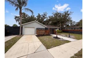10316 Belgrove Pl, ORLANDO 10316 Belgrove Pl, ORLANDO