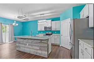 95062 CHESWICK OAKS DRIVE, FERNANDINA BEACH, FL 32034 - MLS#MFRO6413626