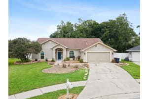 26203 CORKWOOD COURT, LAND O LAKES, FL 34639 - MLS#MFRO6413728