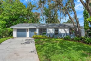 8732 Overlook Dr, TAMPA
