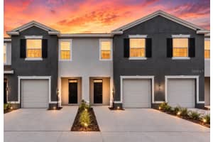 32202 TURTLE GRACE LOOP, WESLEY CHAPEL, FL 33545 - MLS#MFRO6414138